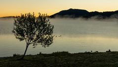 Morgens am Forggensee