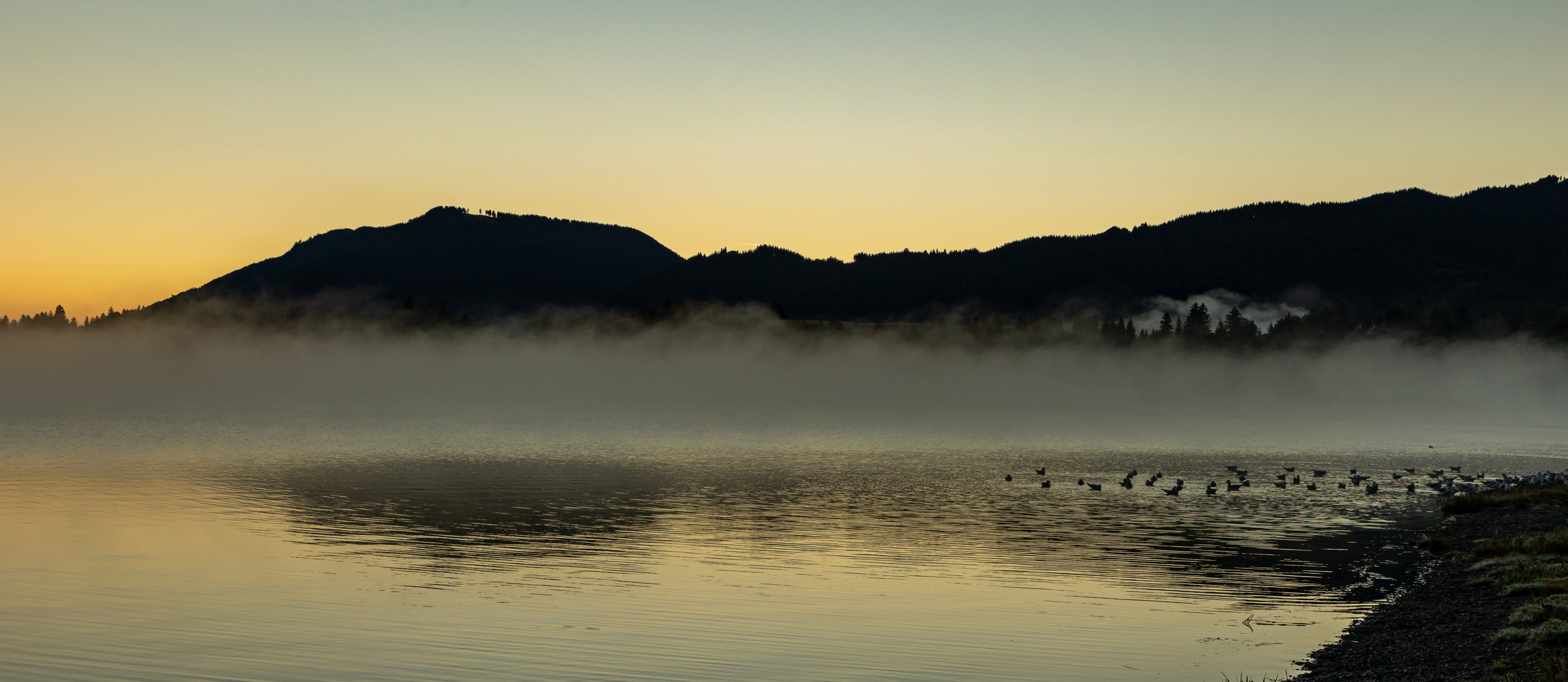 Morgens am Forggensee