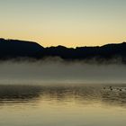 Morgens am Forggensee