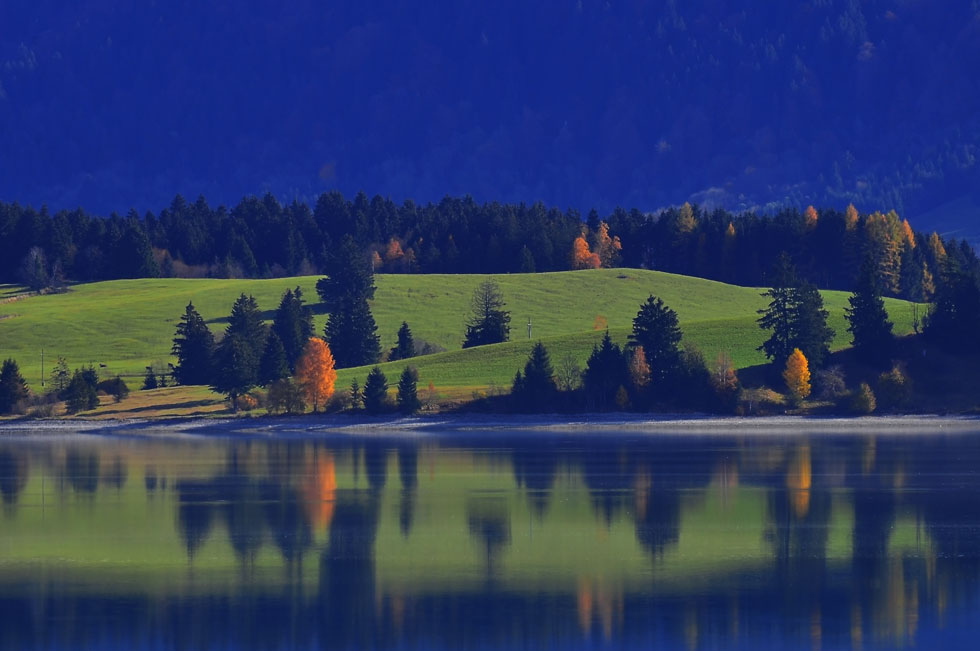 Morgens am Forggensee