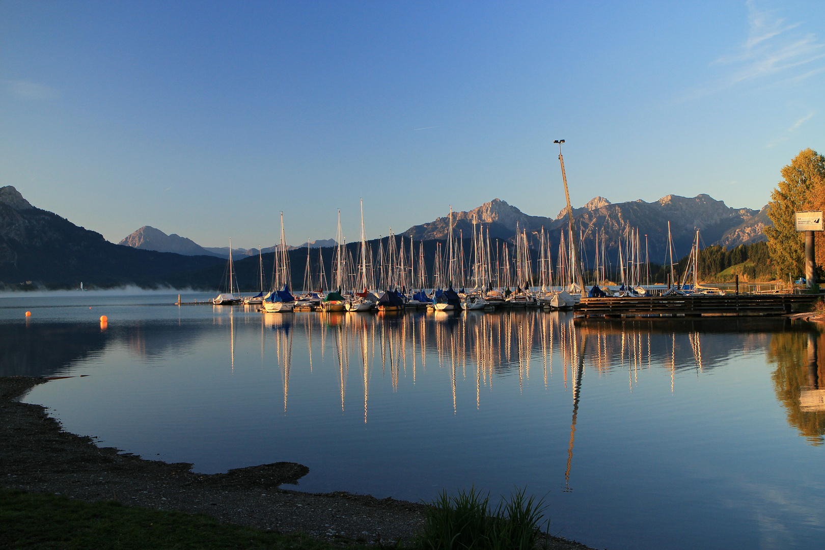 Morgens am Forggensee