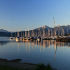 Morgens am Forggensee