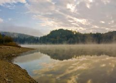 Morgens am Forstsee