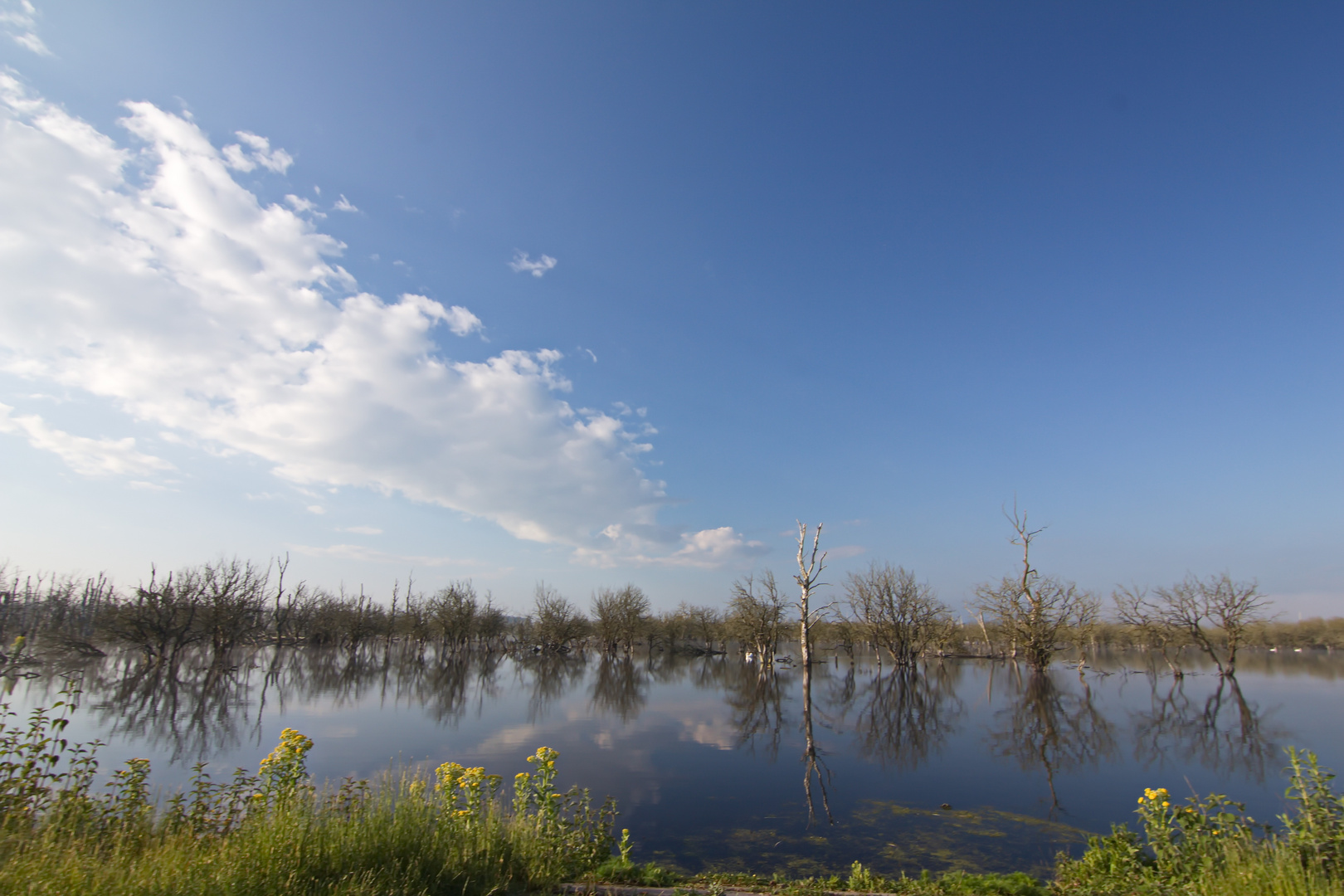 morgens am Galenbeker See