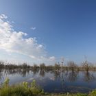 morgens am Galenbeker See