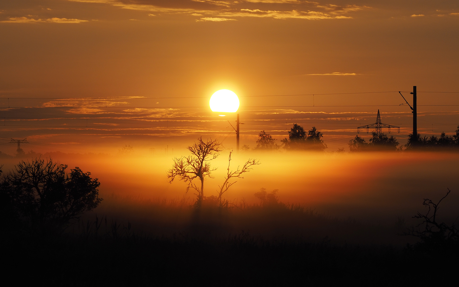 Morgens am Gleis