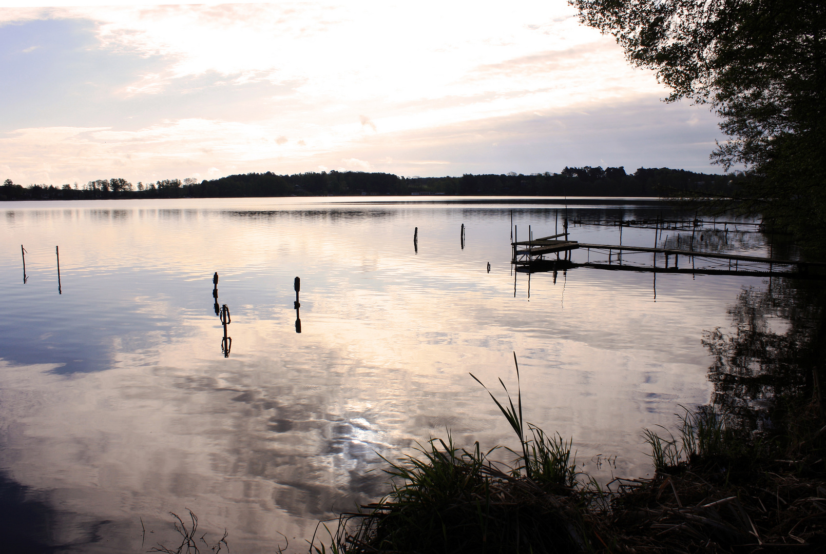 Morgens am Goyatzer See