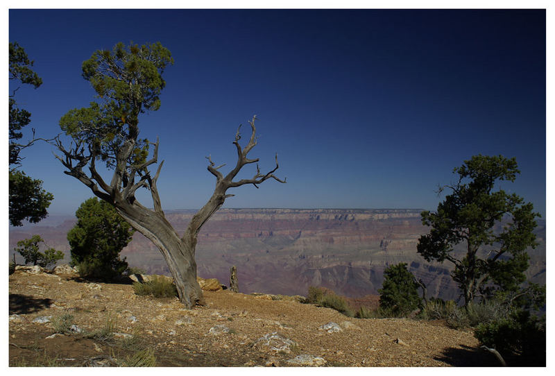 Morgens am Grand Canyon reload