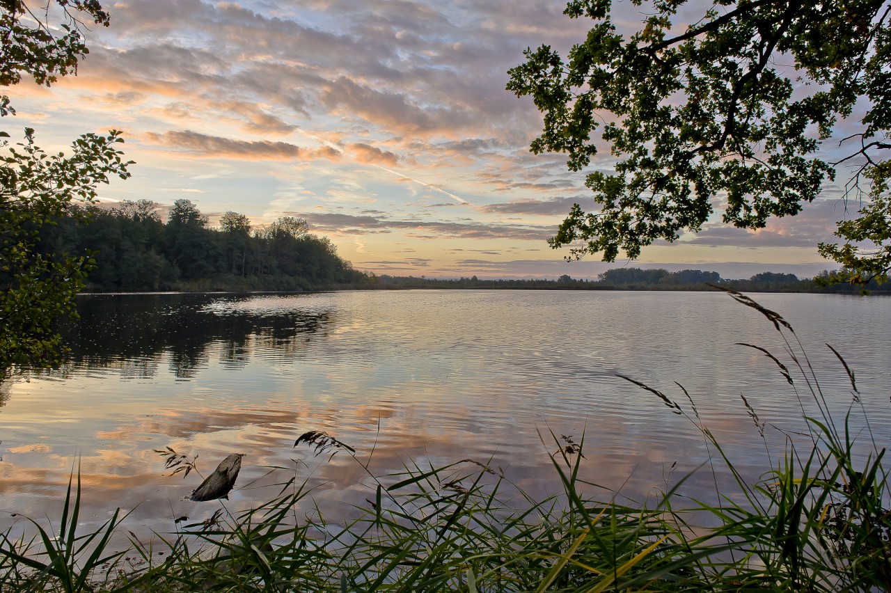 Morgens am Häcklerweiher