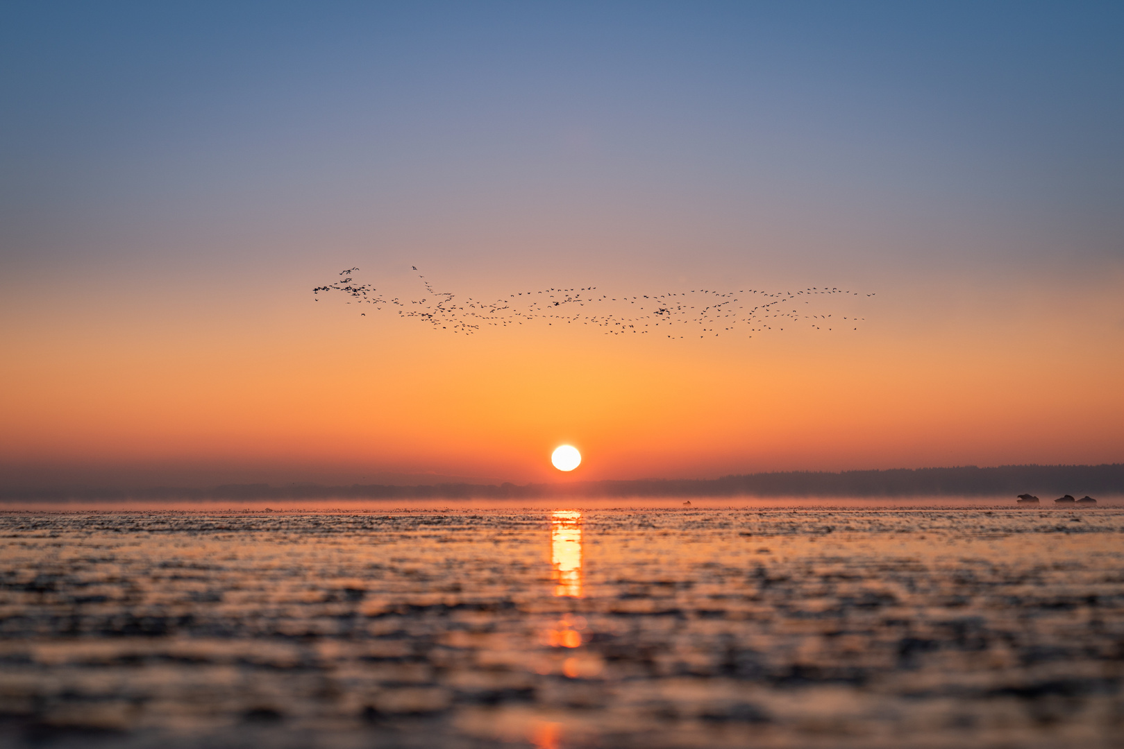 Morgens am Hafen