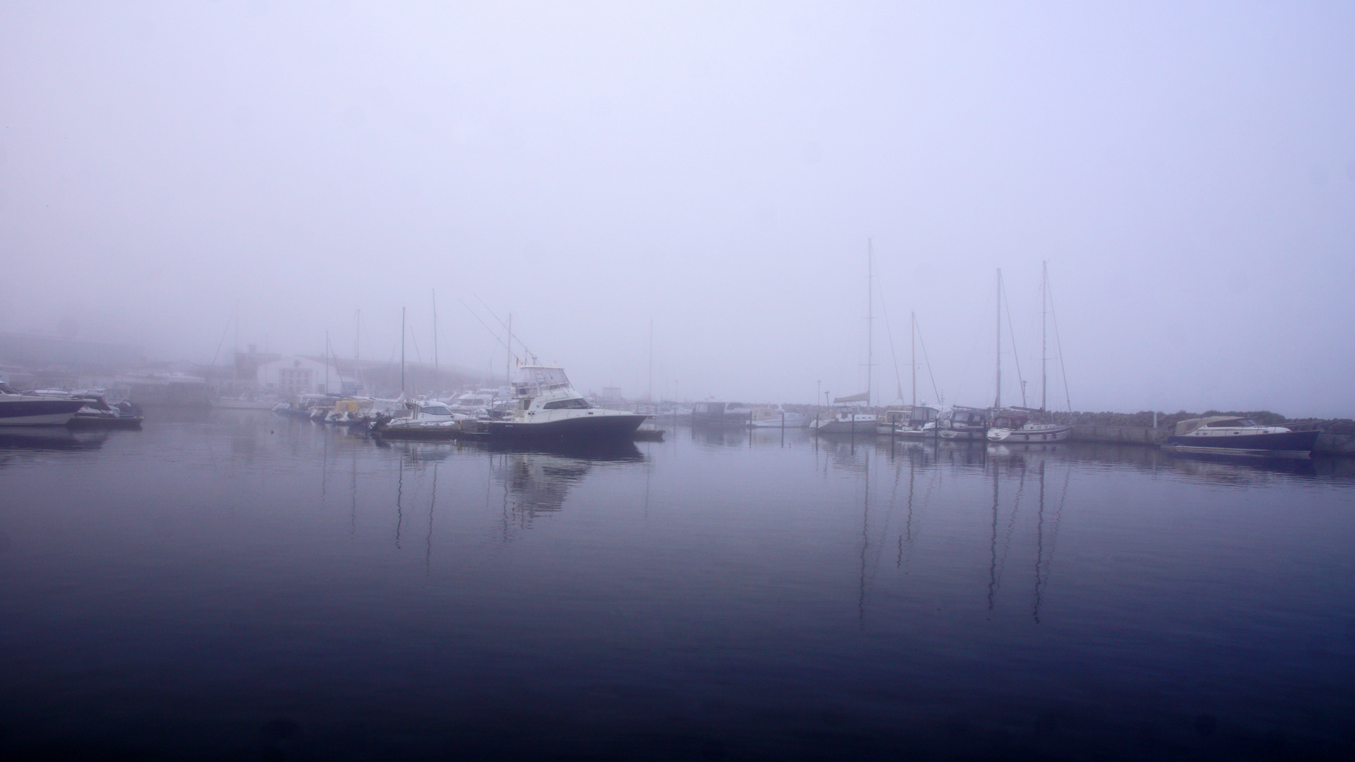 Morgens am Hafen von Wiek