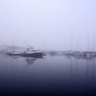 Morgens am Hafen von Wiek