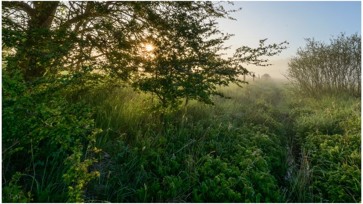 Morgens am Hintergraben