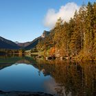 Morgens am Hintersee