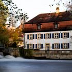 Morgens am Hollergraben im Bamberger Hain