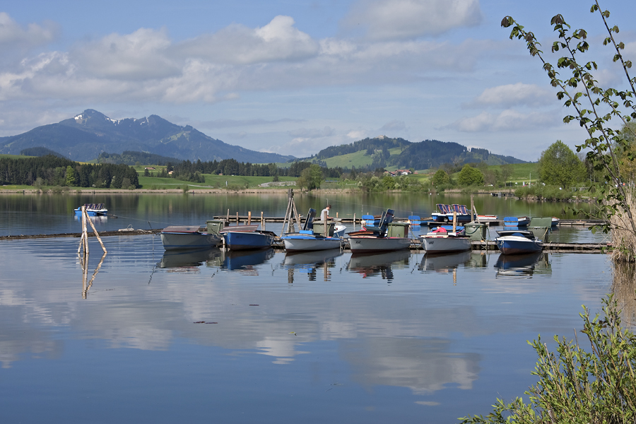 Morgens am Hopfensee