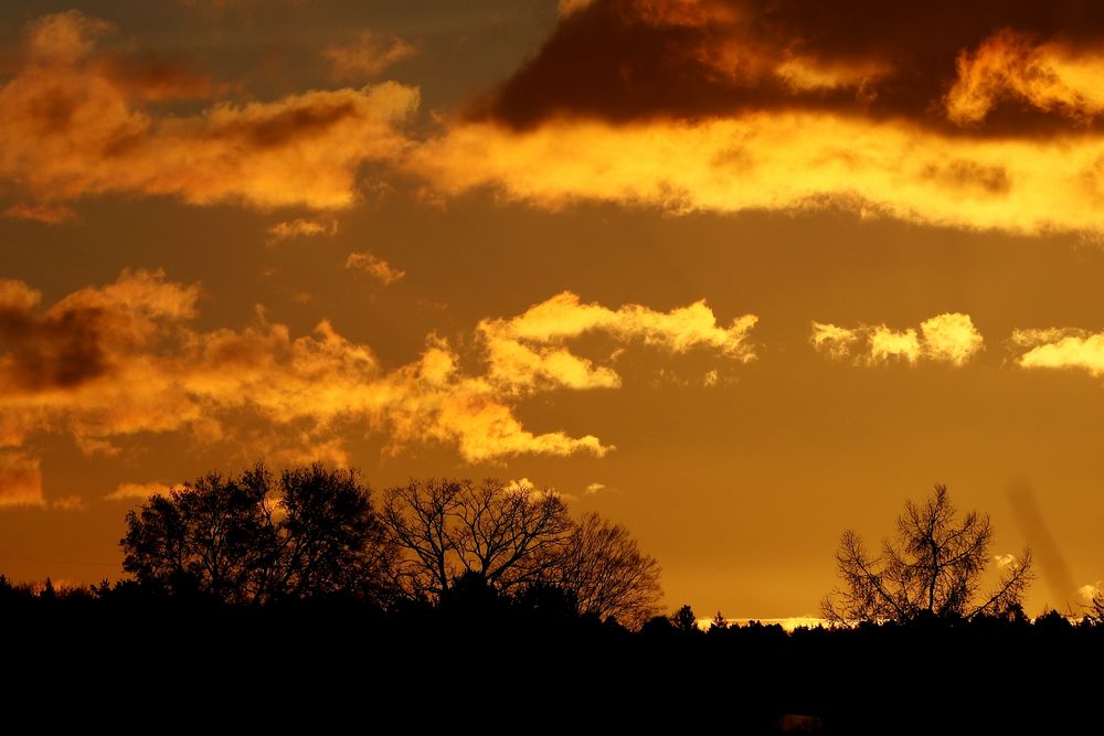 morgens am Horizont