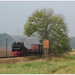 Morgens am Jägerhochsitz hinter Putbus