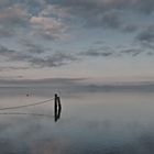 Morgens am Jasmunder Bodden