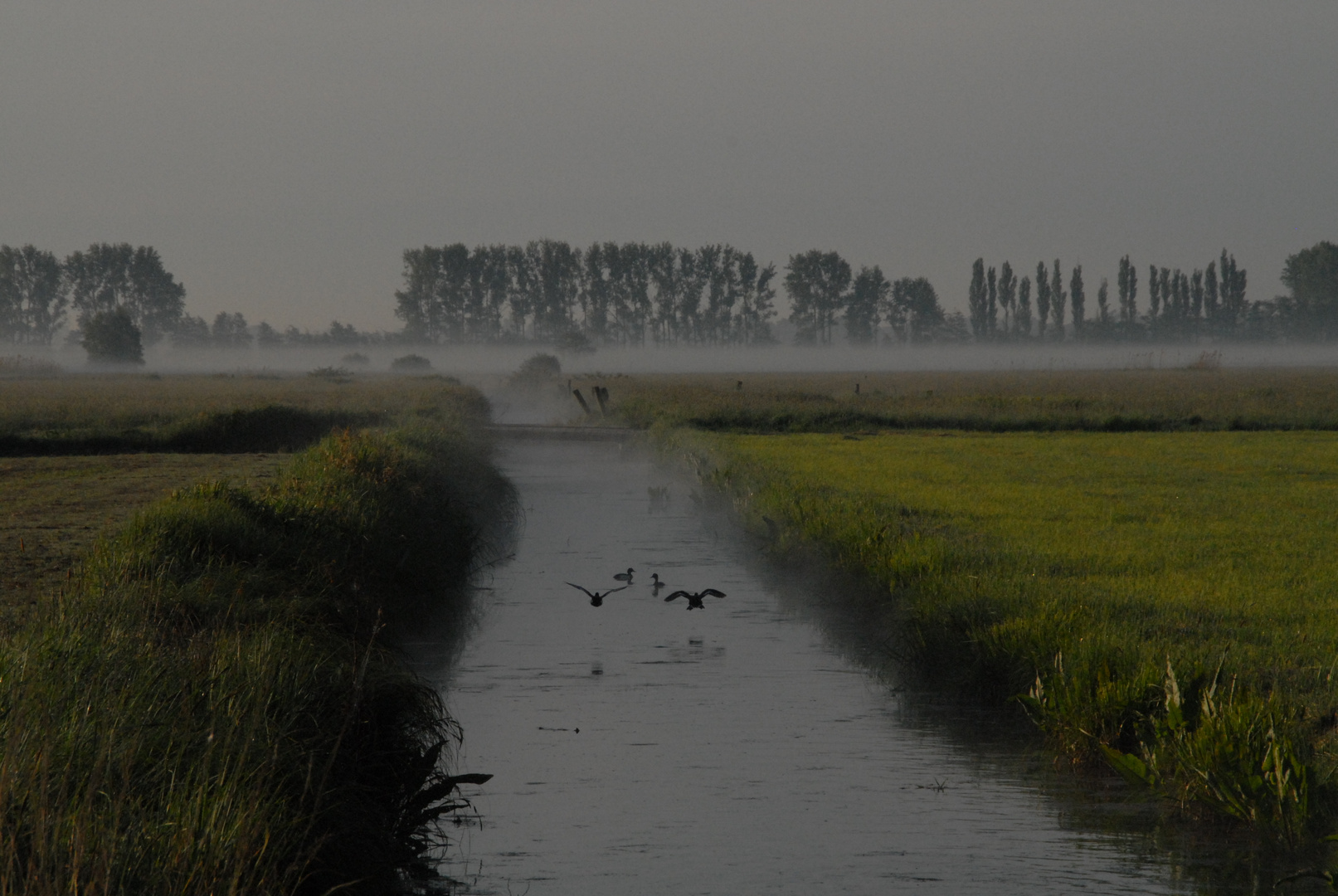 Morgen´s am Kanal