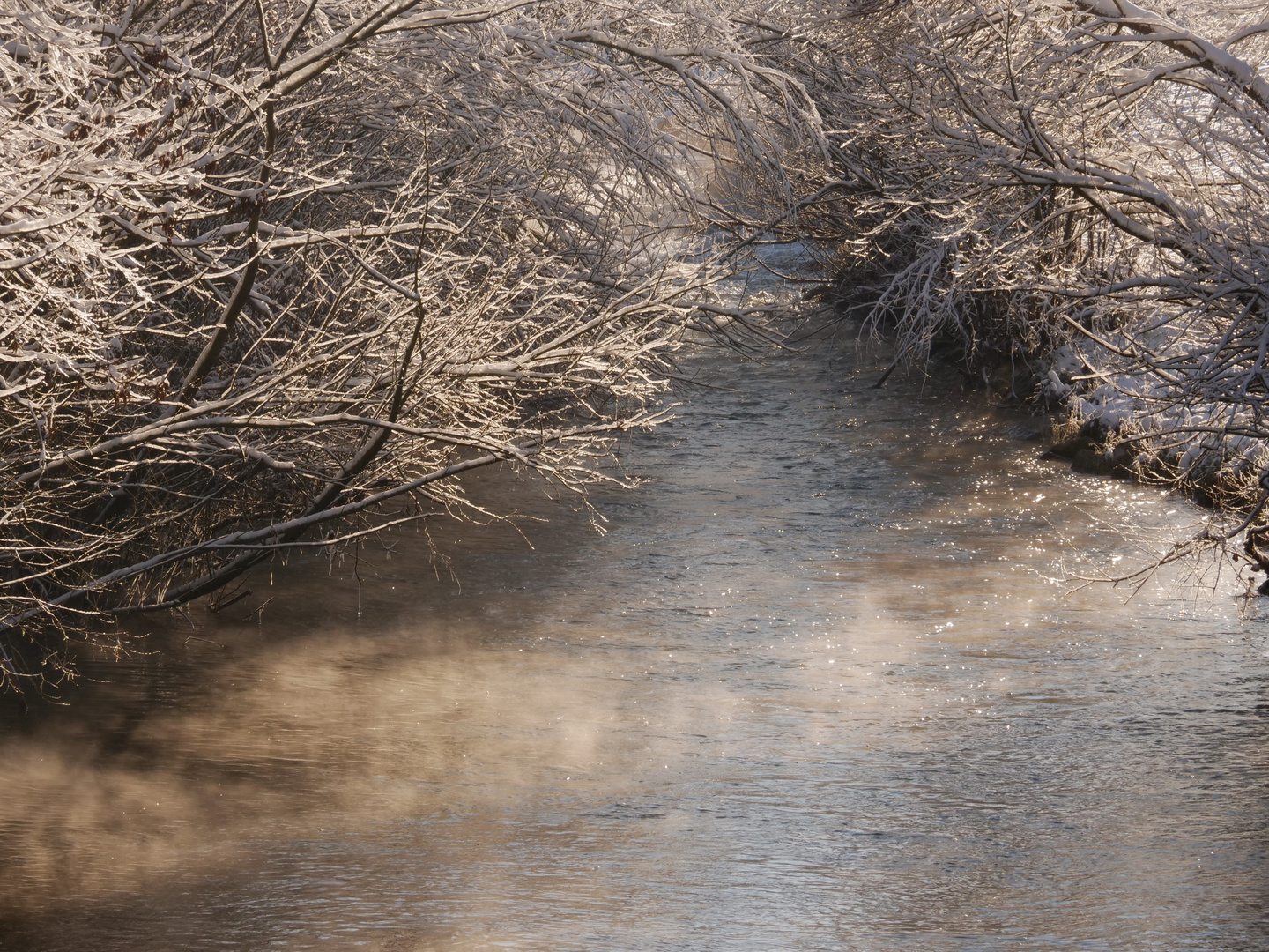 Morgens am kleinen Bach