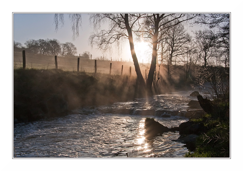 morgens am kleinen bach