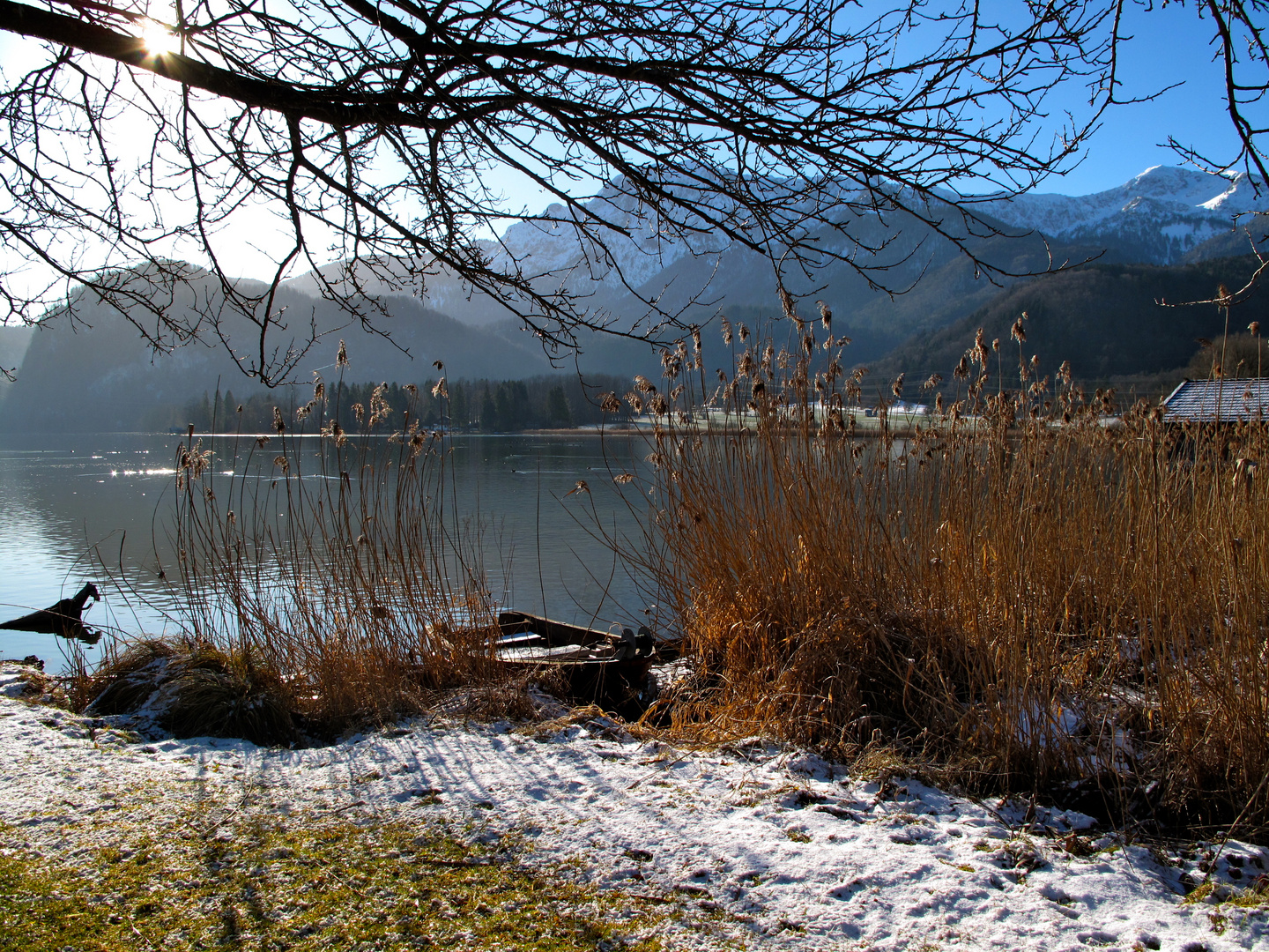 Morgens am Kochelsee