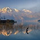 Morgens am Kochelsee