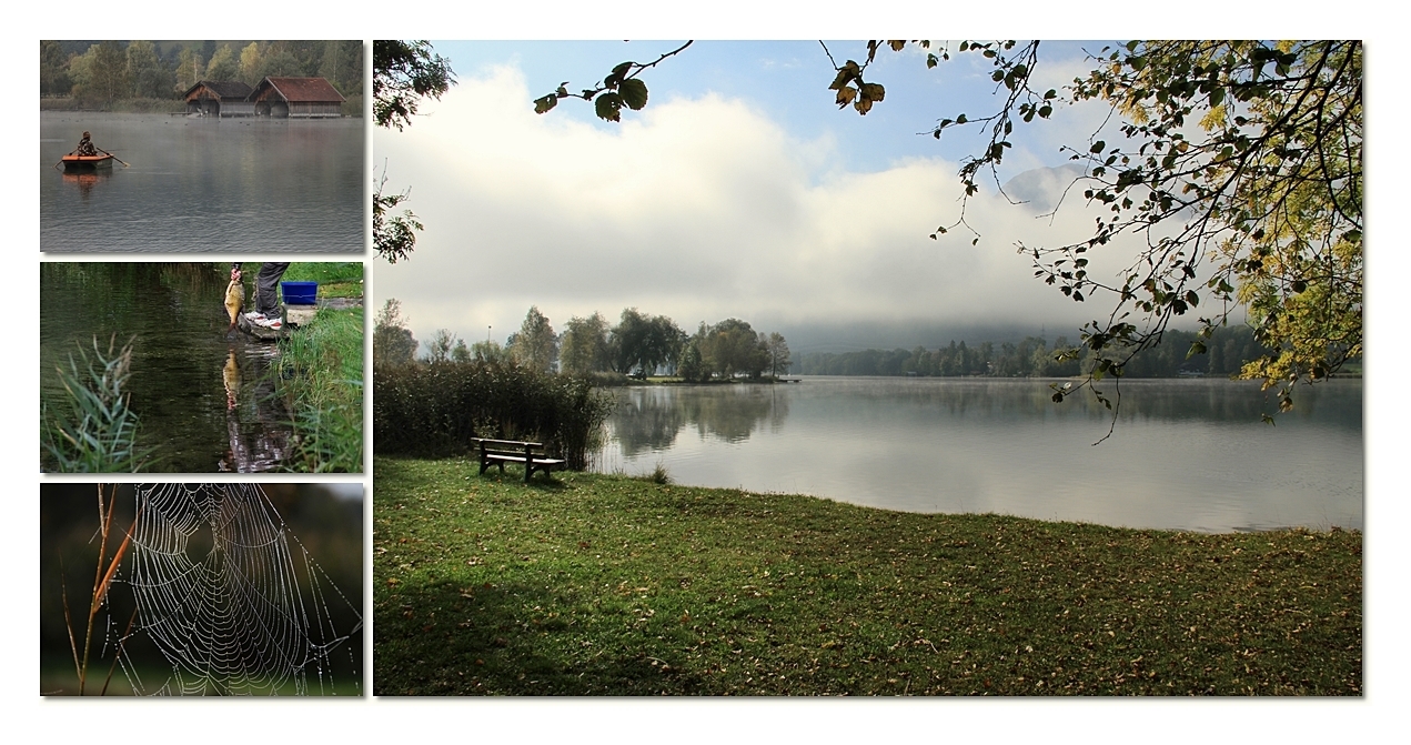 Morgens am Kochelsee