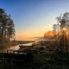 Morgens am Koniksee bei Vögel & Frösche Gesang.