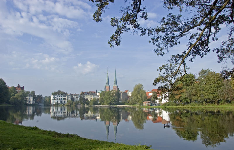 Morgens am Krähenteich