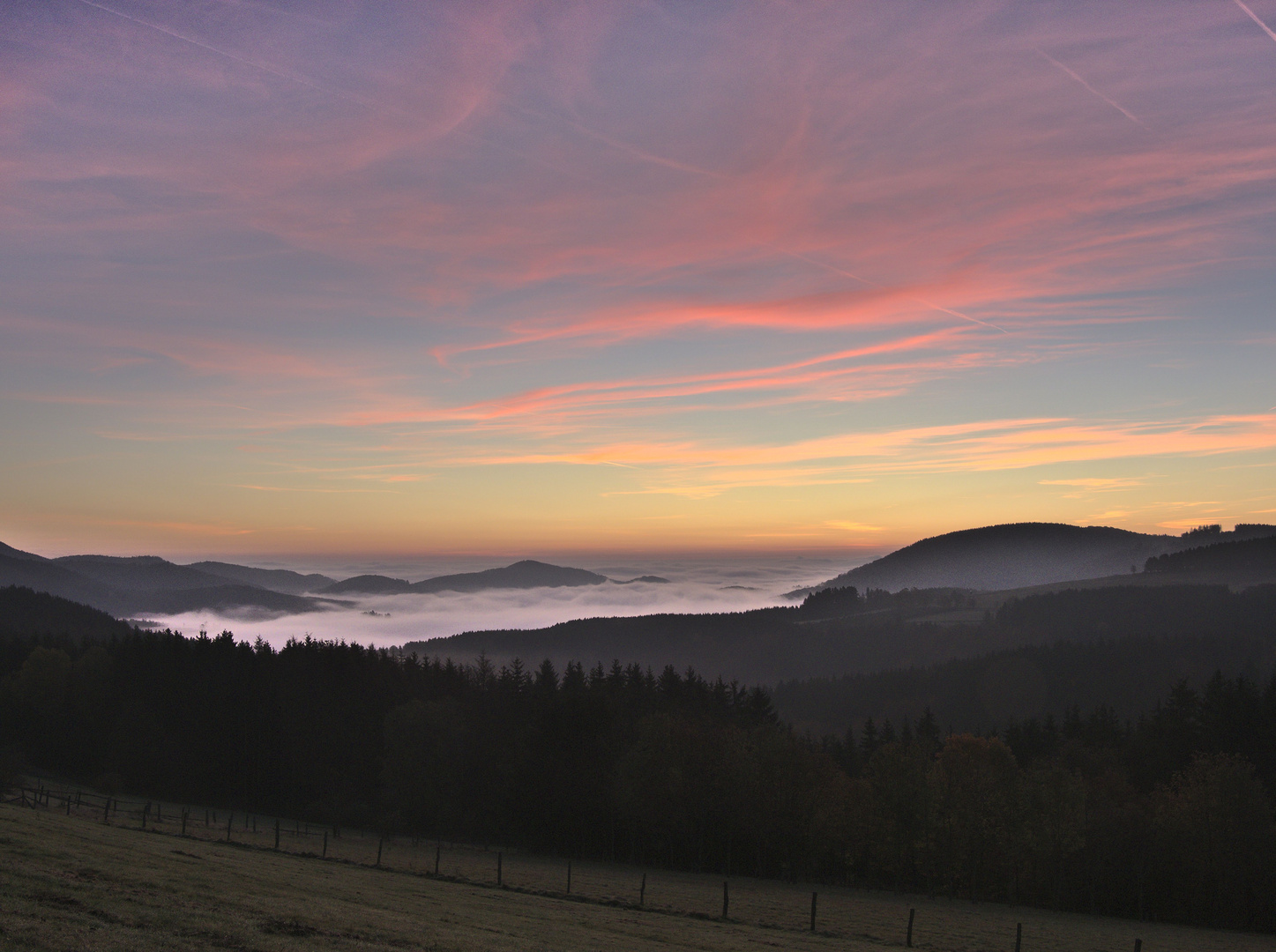 Morgens am Kreuzbergweg