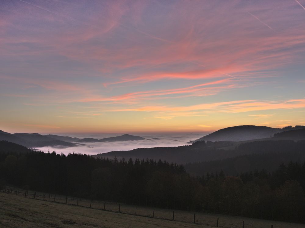 Morgens am Kreuzbergweg