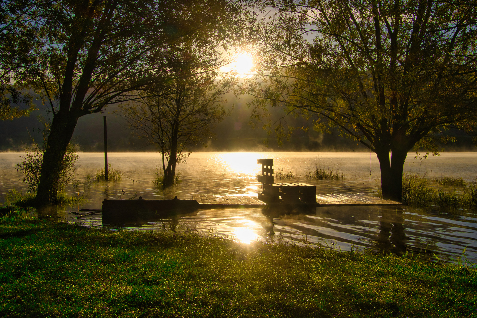 Morgens am Lac de Gruyere