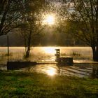 Morgens am Lac de Gruyere