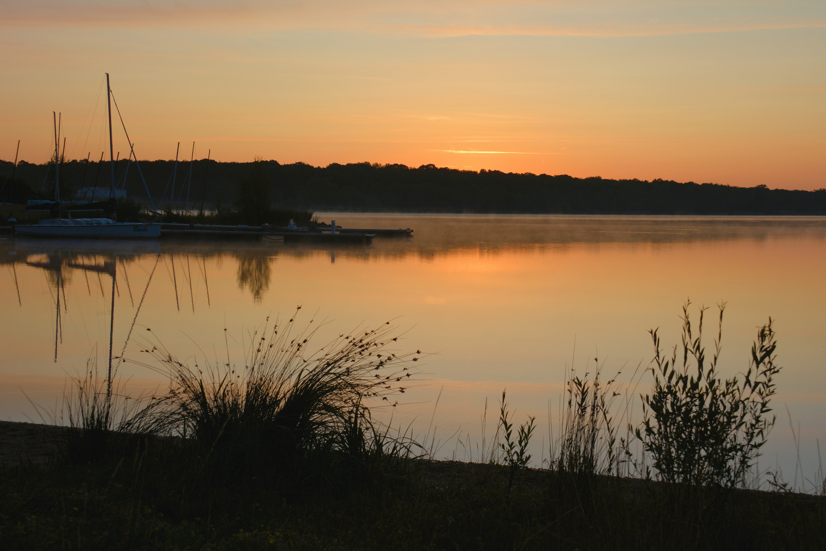 morgens am Lac de Madine