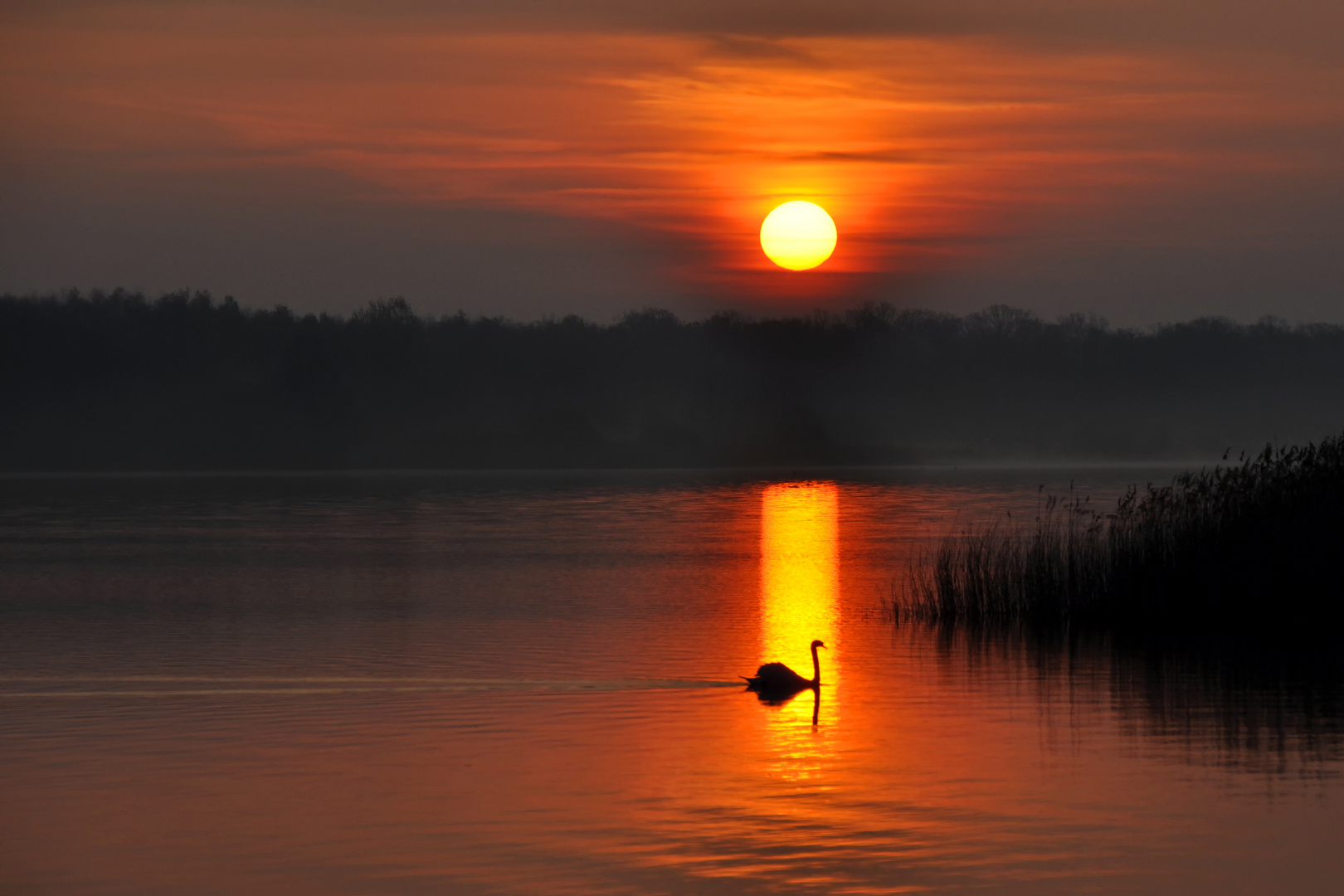 Morgens am Lac de Madine