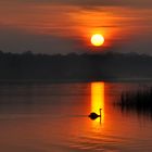 Morgens am Lac de Madine