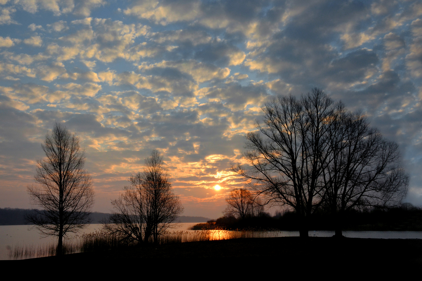 Morgens am Lac de Madine