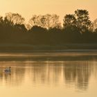 morgens am Lac de Madine