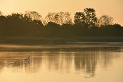 morgens am Lac de Madine