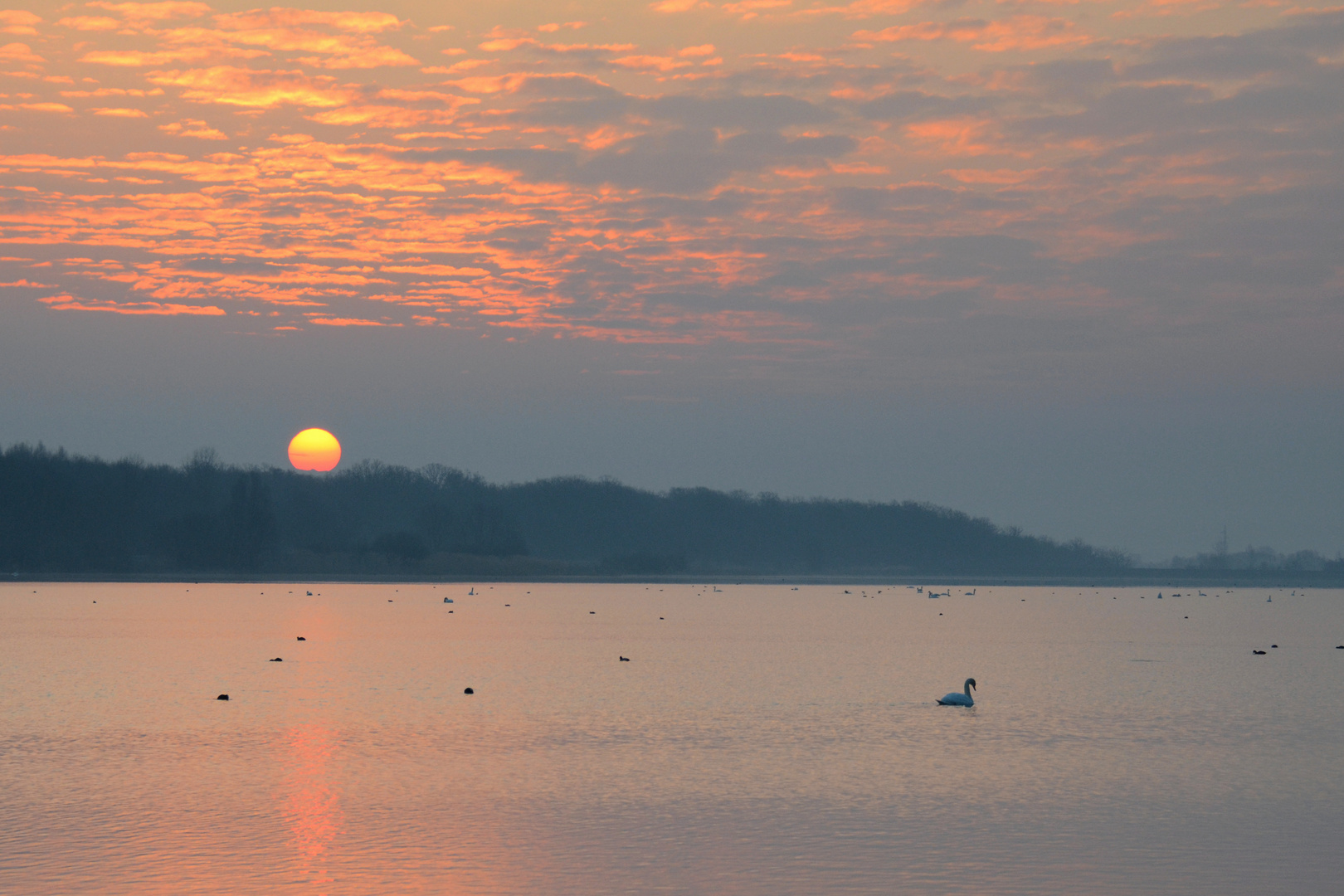 Morgens am Lac de Madine