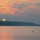 Morgens am Lac de Madine