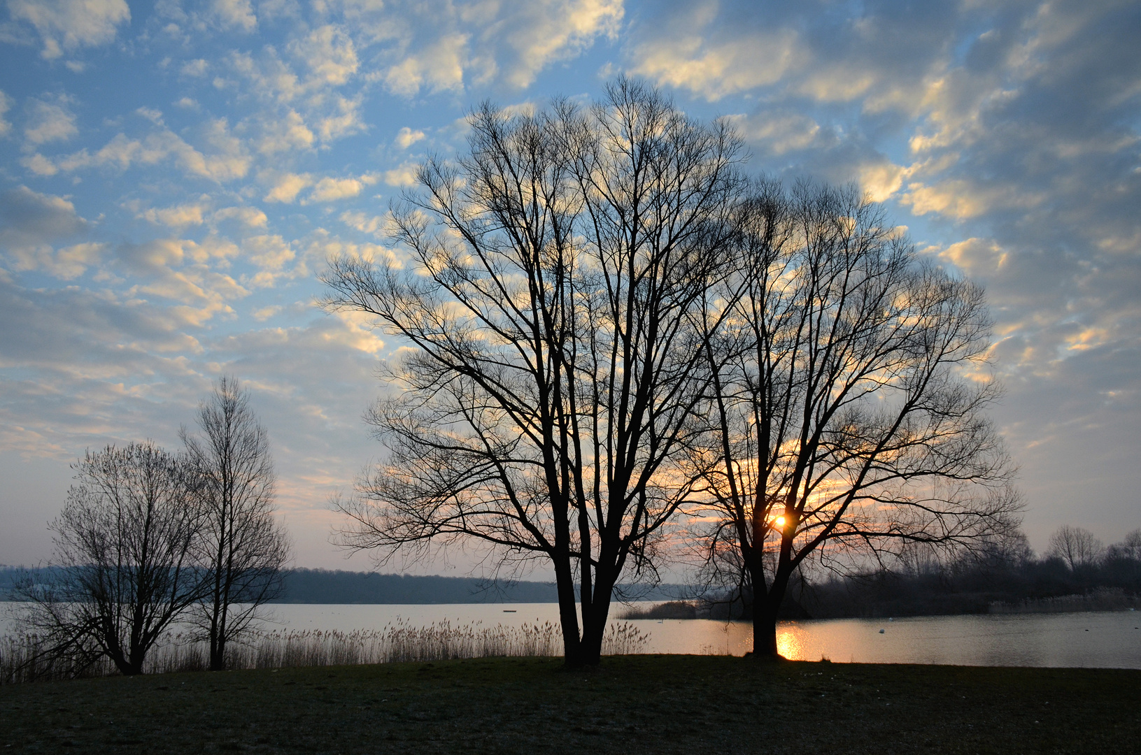 Morgens am Lac de Madine