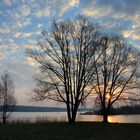 Morgens am Lac de Madine