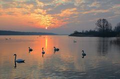 Morgens am Lac de Madine