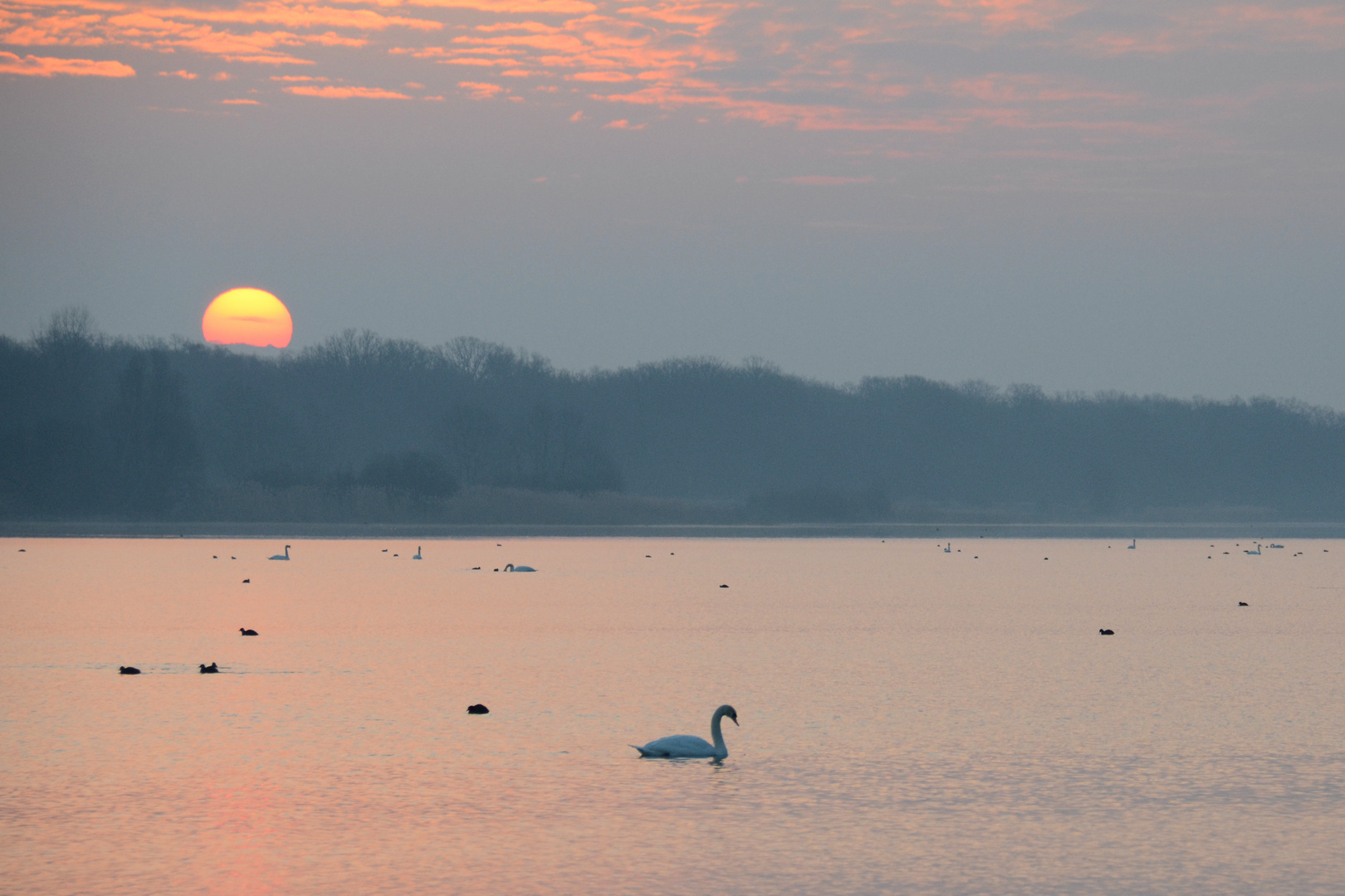 Morgens am Lac de Madine