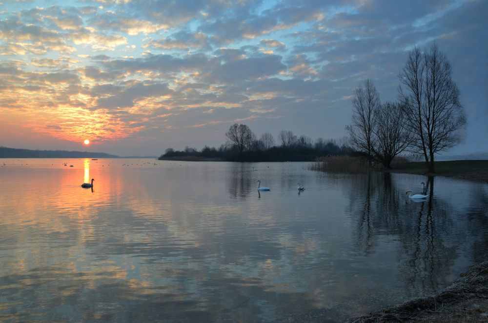 Morgens am Lac de Madine