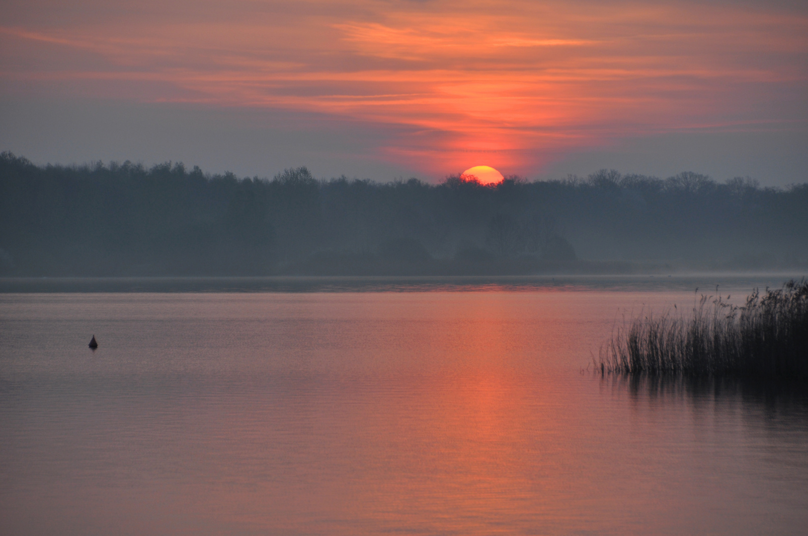 Morgens am Lac de Madine