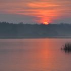 Morgens am Lac de Madine